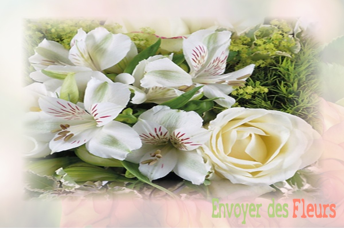 envoyer des fleurs à à DAMPIERRE-SOUS-BOUHY